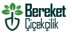 bereket