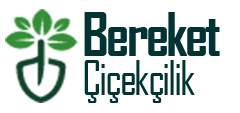 Bereket Çiçekçilik